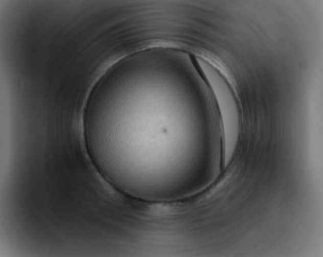 X0000093240898200710101420