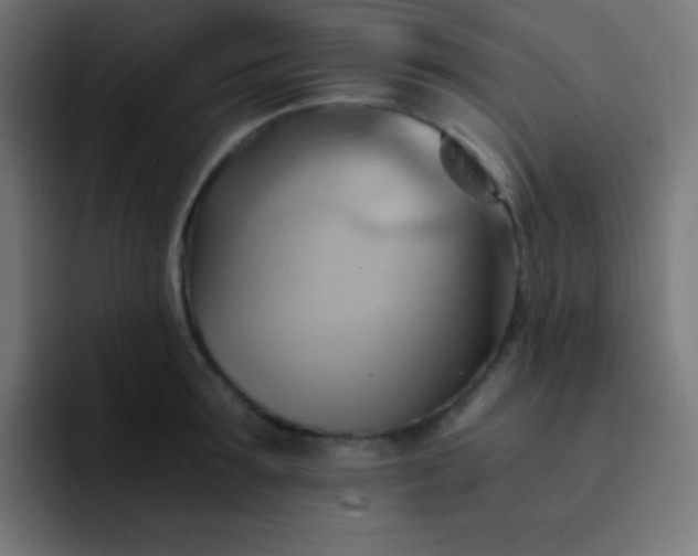 X0000093240899200710101420