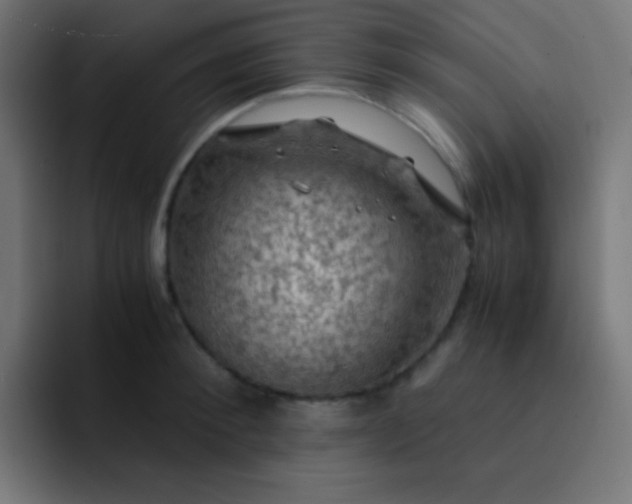 X0000093240900200710101419