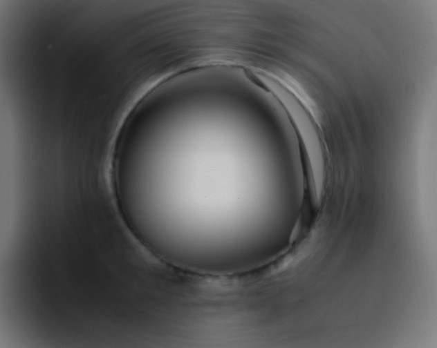 X0000093240901200710101419
