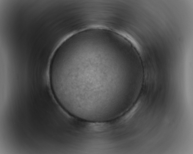 X0000093240902200710101419