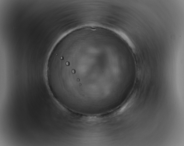 X0000093240903200710101419
