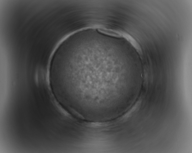X0000093240904200710101419