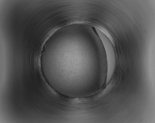 X0000093240906200710101419