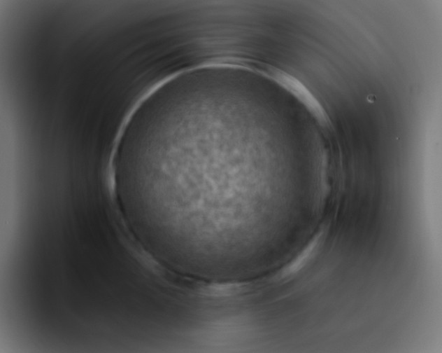 X0000093240908200710101419