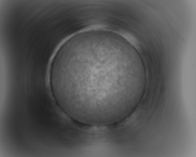 X0000093240912200710101419