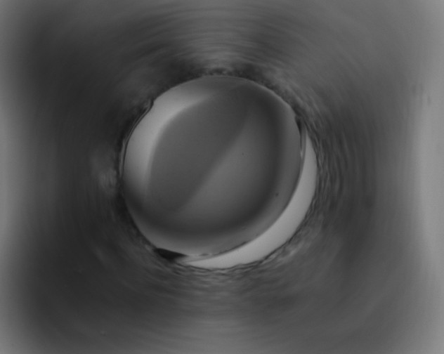 X0000093240916200710101419