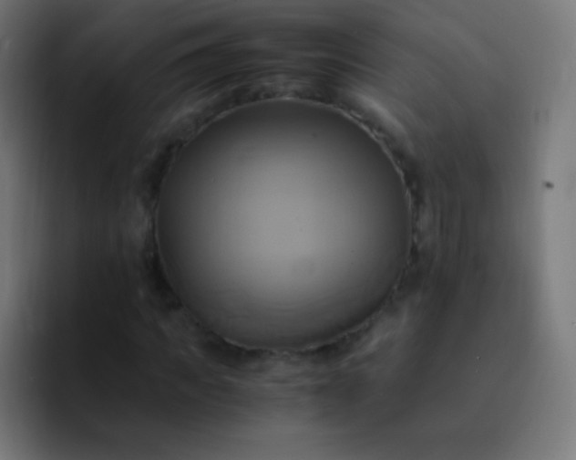 X0000093240917200710101419