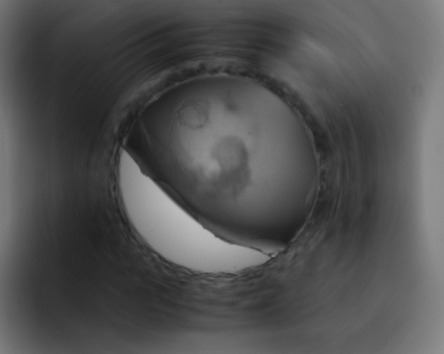 X0000093240919200710101419