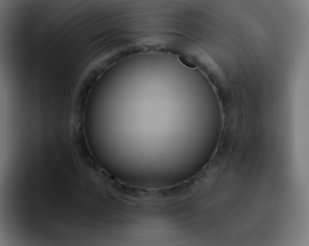 X0000093240920200710101419