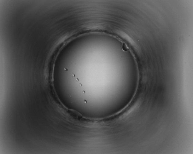 X0000093240922200710101419