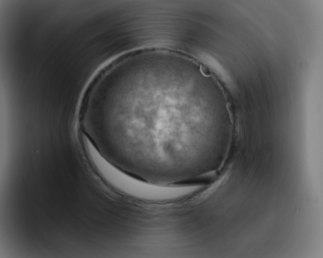 X0000093240924200710101419