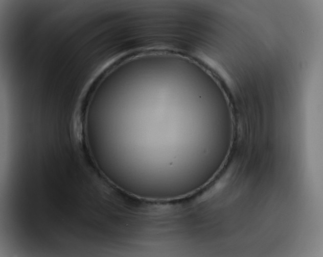 X0000093240925200710101419