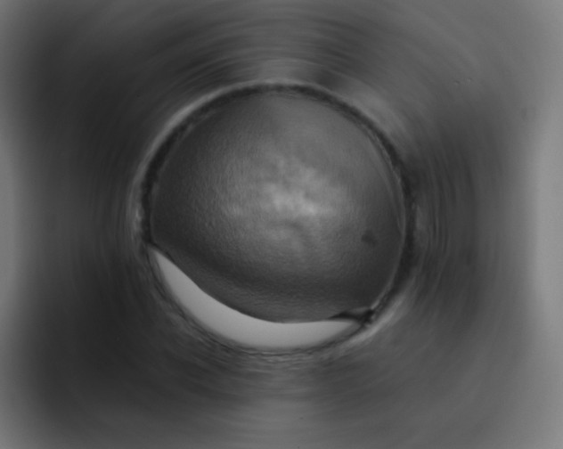 X0000093240926200710101419