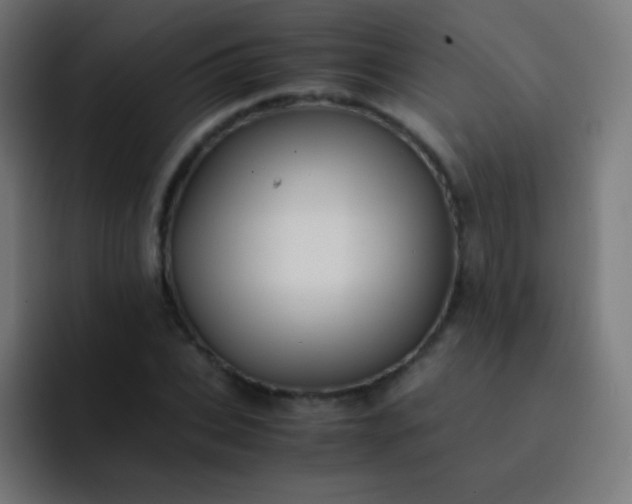 X0000093240927200710101419