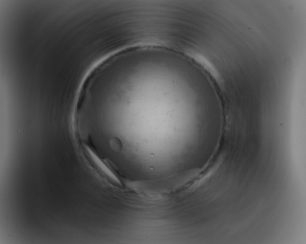 X0000093240928200710101419