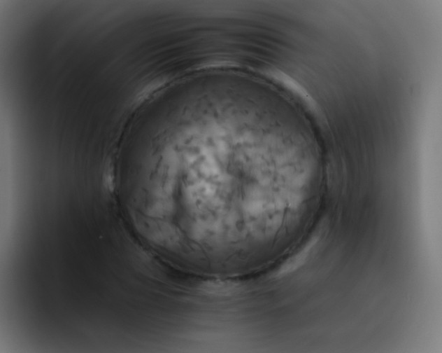 X0000093240929200710101419