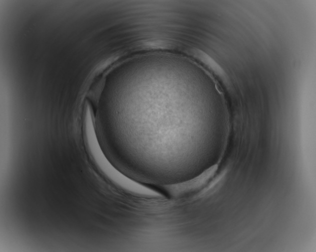 X0000093240930200710101419