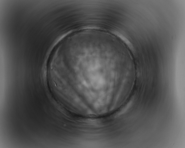 X0000093240933200710101419
