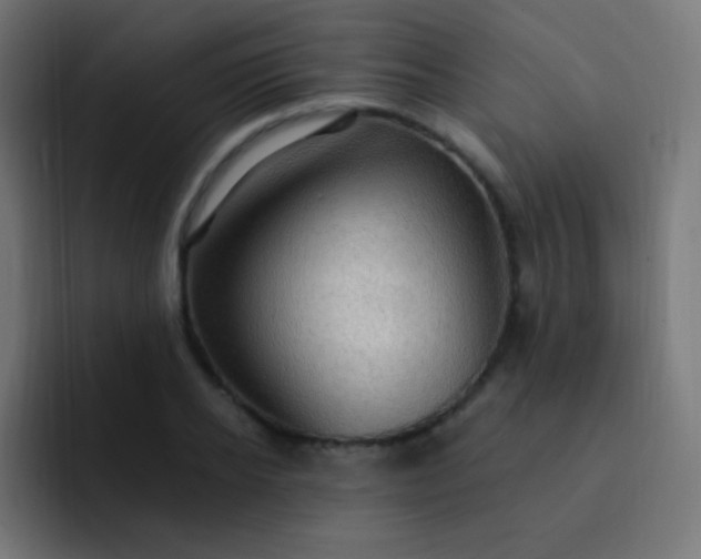 X0000093240934200710101419