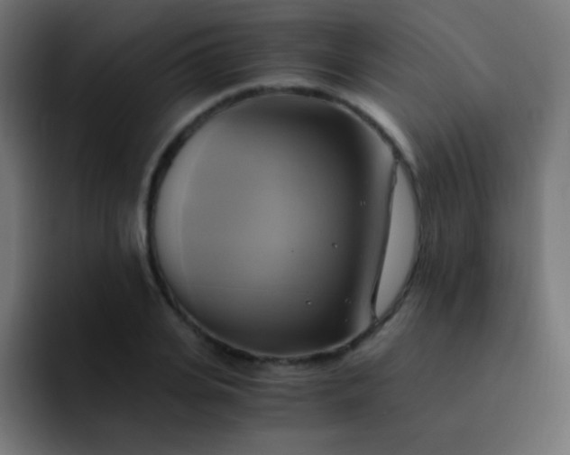 X0000093240935200710101419