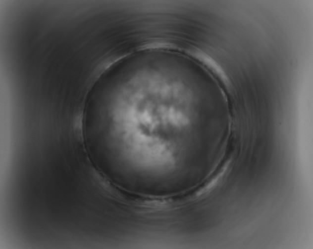 X0000093240937200710101419