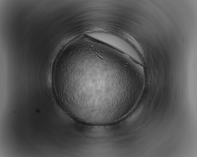 X0000093240938200710101419