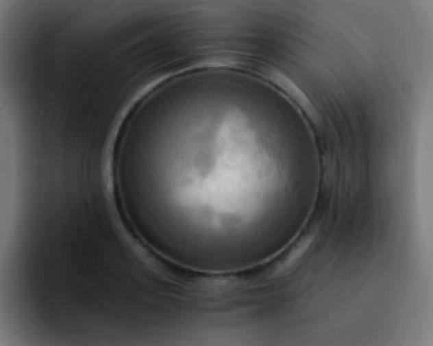 X0000093240939200710101419