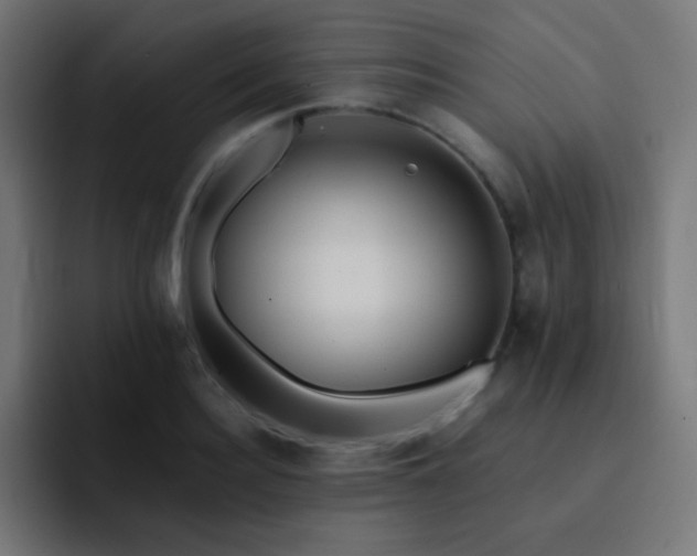 X0000093240940200710101419