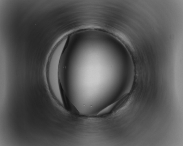 X0000093240942200710101419