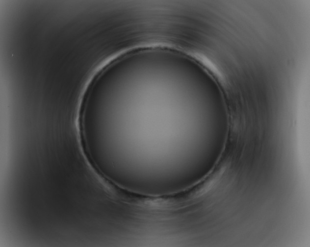 X0000093240943200710101419