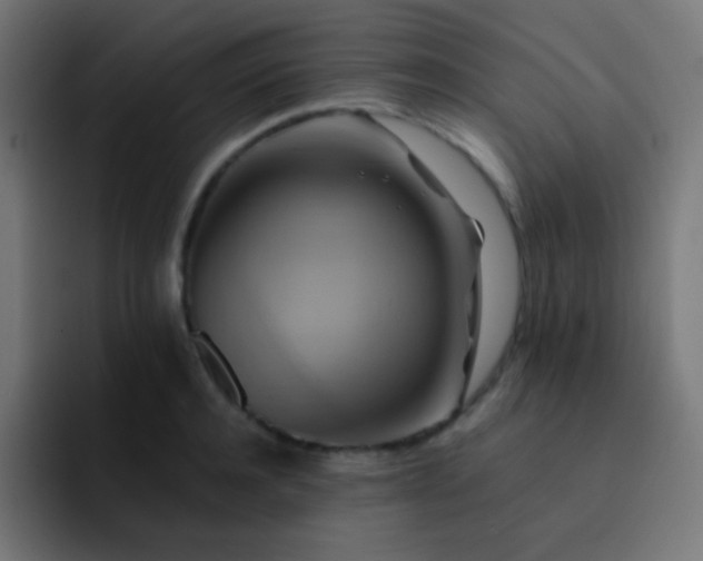 X0000093240944200710101419