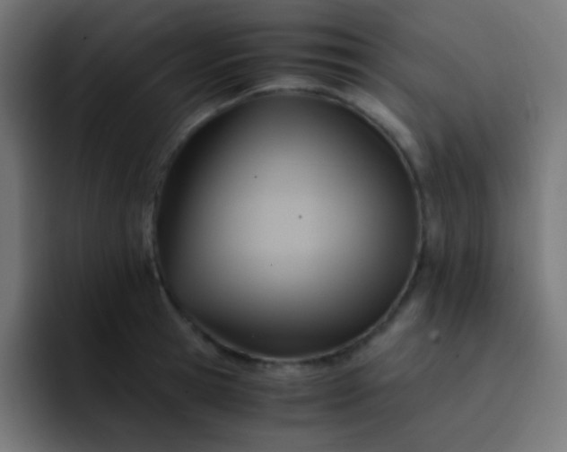 X0000093240945200710101419