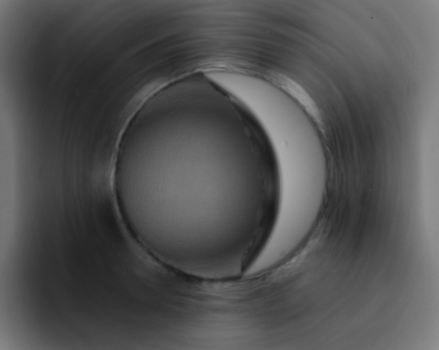 X0000093240946200710101419