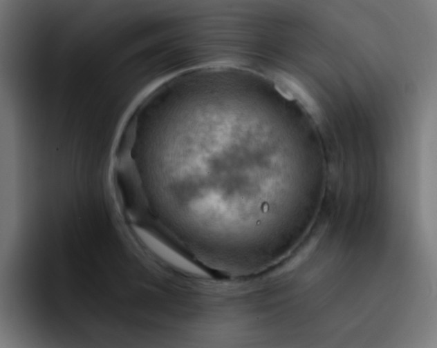 X0000093240948200710101419