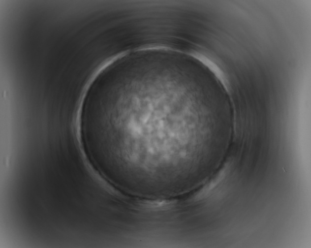 X0000093240949200710101419