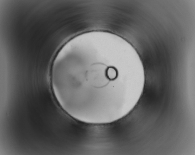 X0000093240950200710101419