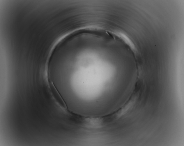 X0000093240952200710101419