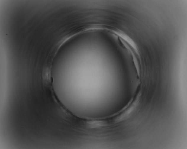 X0000093240953200710101419