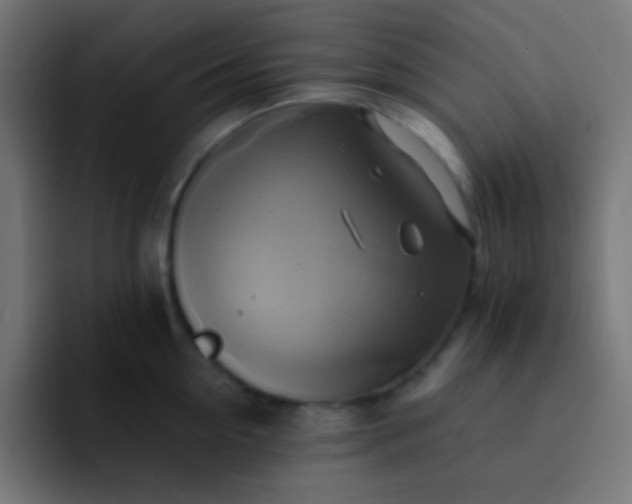 X0000093240954200710101419