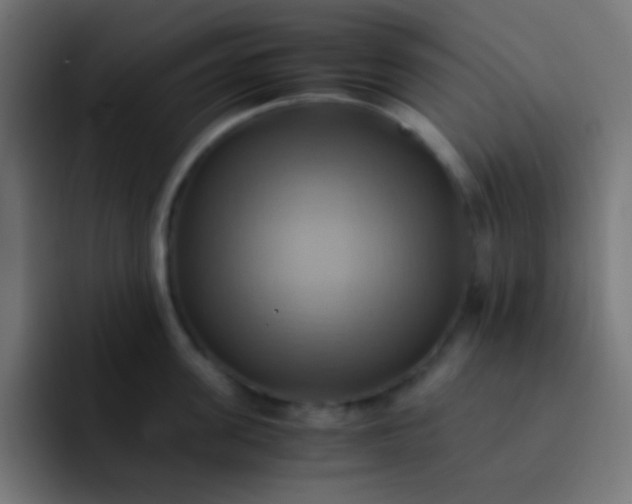 X0000093240955200710101419