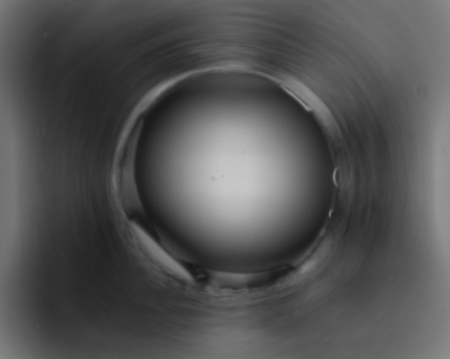 X0000093240956200710101419