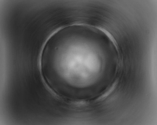 X0000093240957200710101419