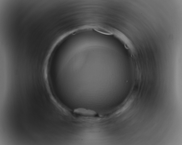 X0000093240958200710101419