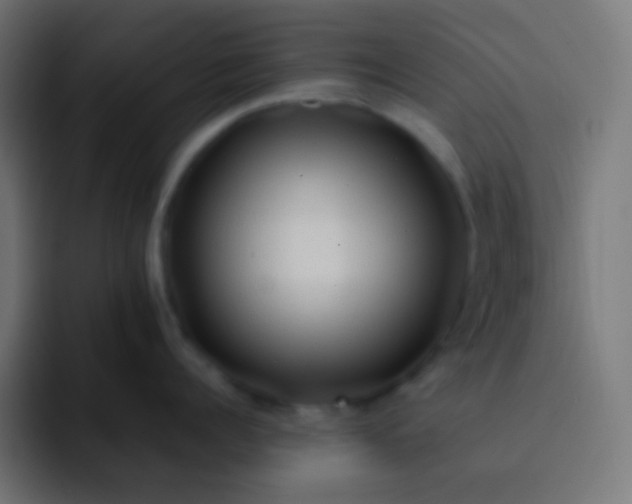 X0000093240960200710101419