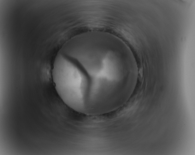 X0000093240963200710101419
