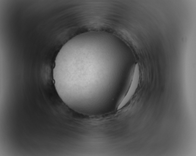X0000093240964200710101419