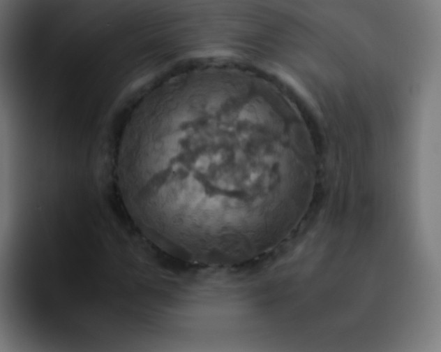 X0000093240967200710101419