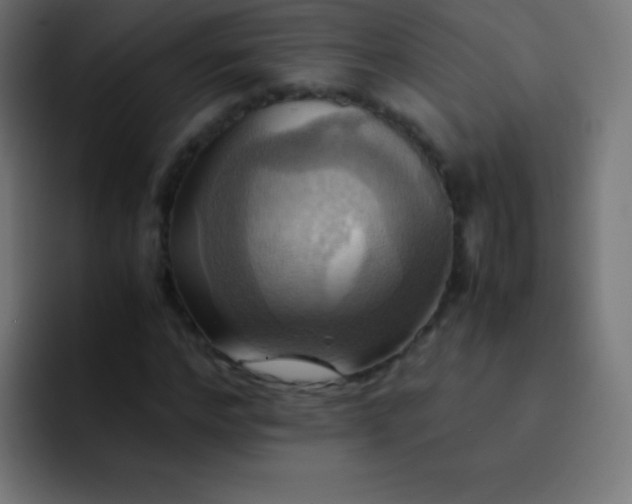 X0000093240968200710101419