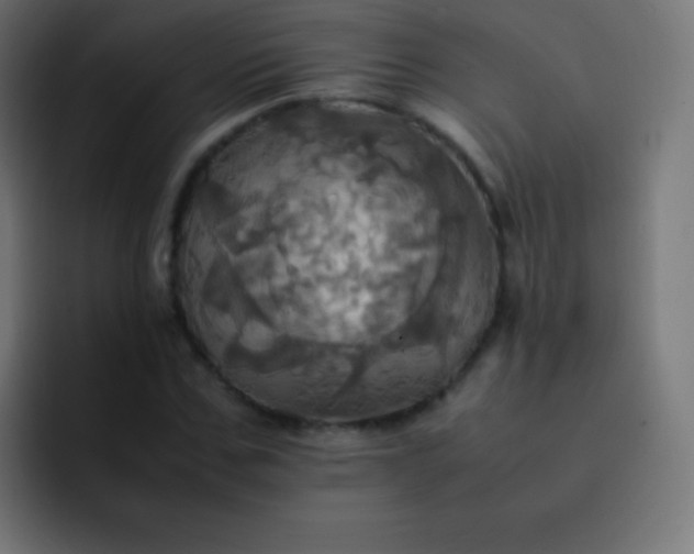 X0000093240971200710101419